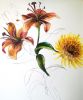 temperov květinová studie - malováno ve výtvarném ateliéru - kurzy kreslení a malování
